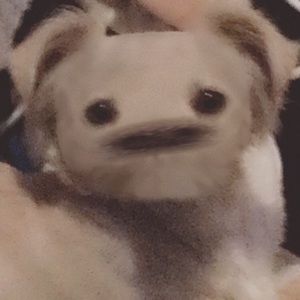 Meet your Posher, Katherjne